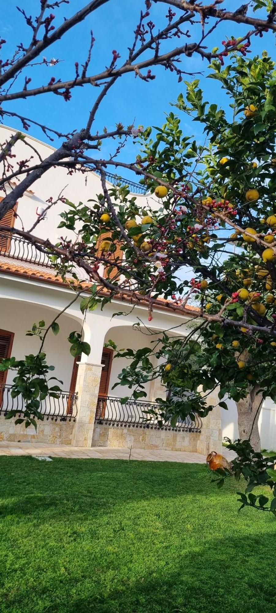 Villa Guajira Bari Ngoại thất bức ảnh
