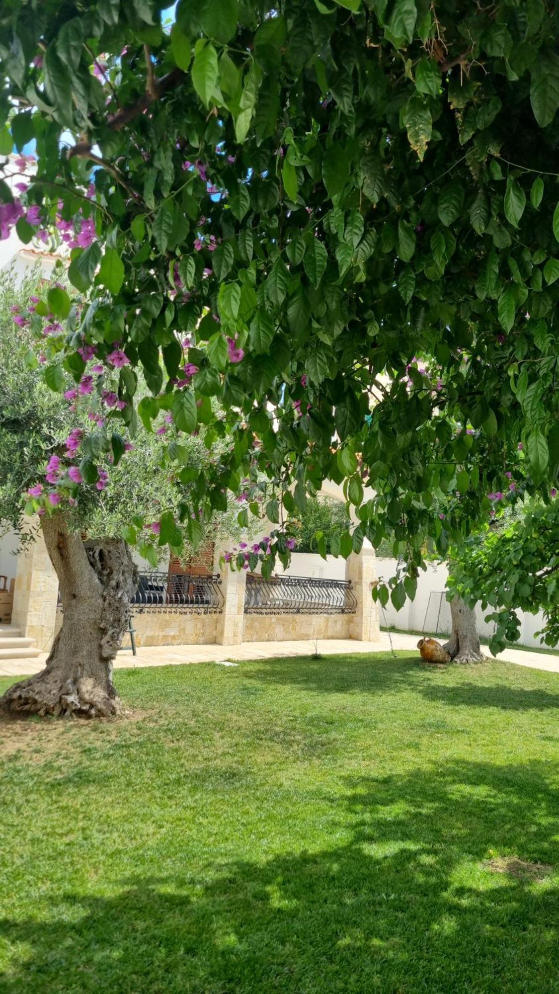 Villa Guajira Bari Ngoại thất bức ảnh