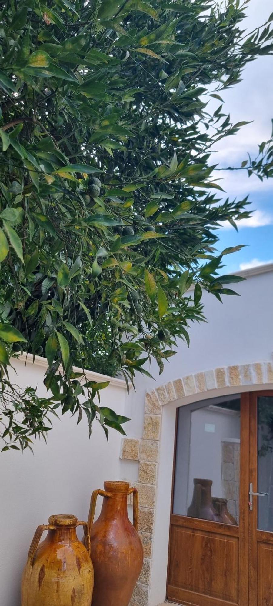 Villa Guajira Bari Ngoại thất bức ảnh
