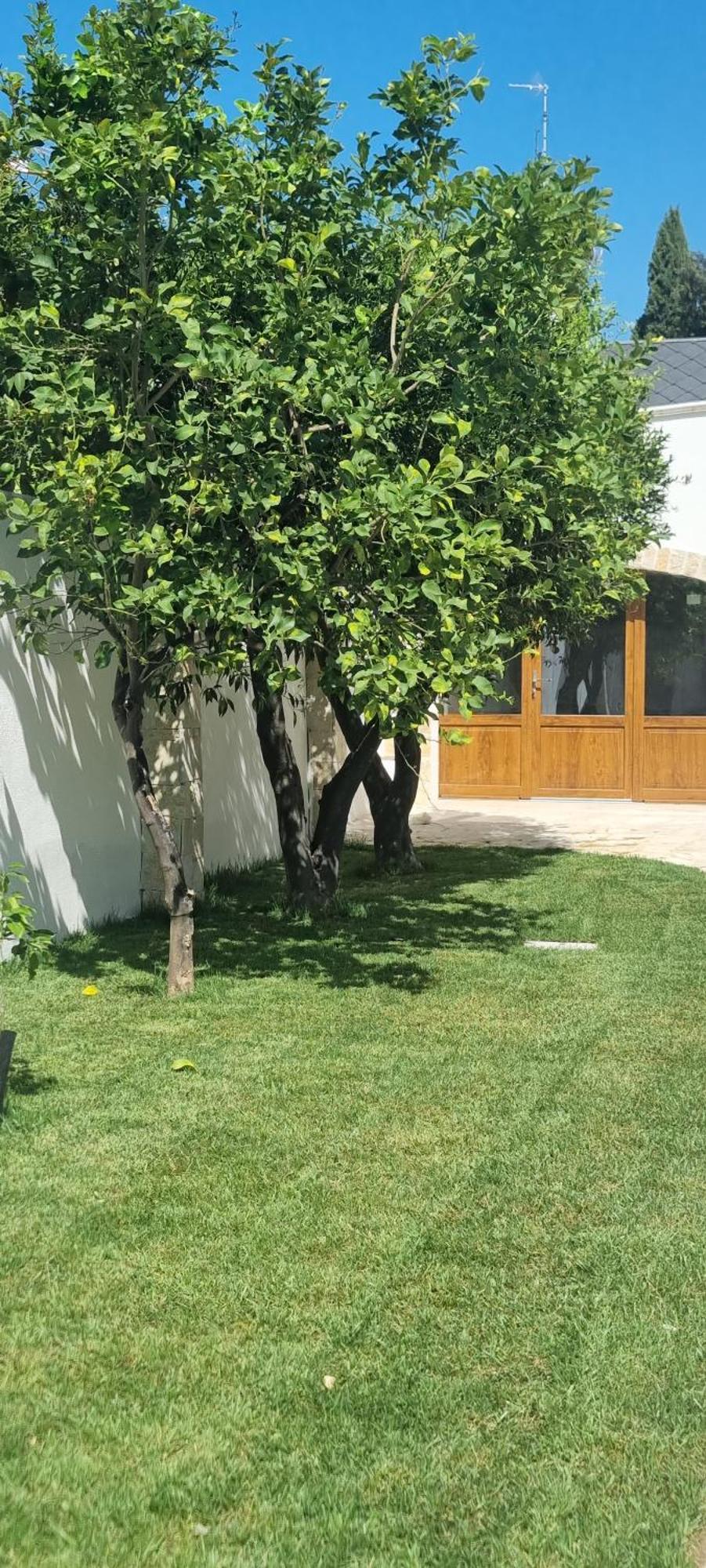 Villa Guajira Bari Ngoại thất bức ảnh