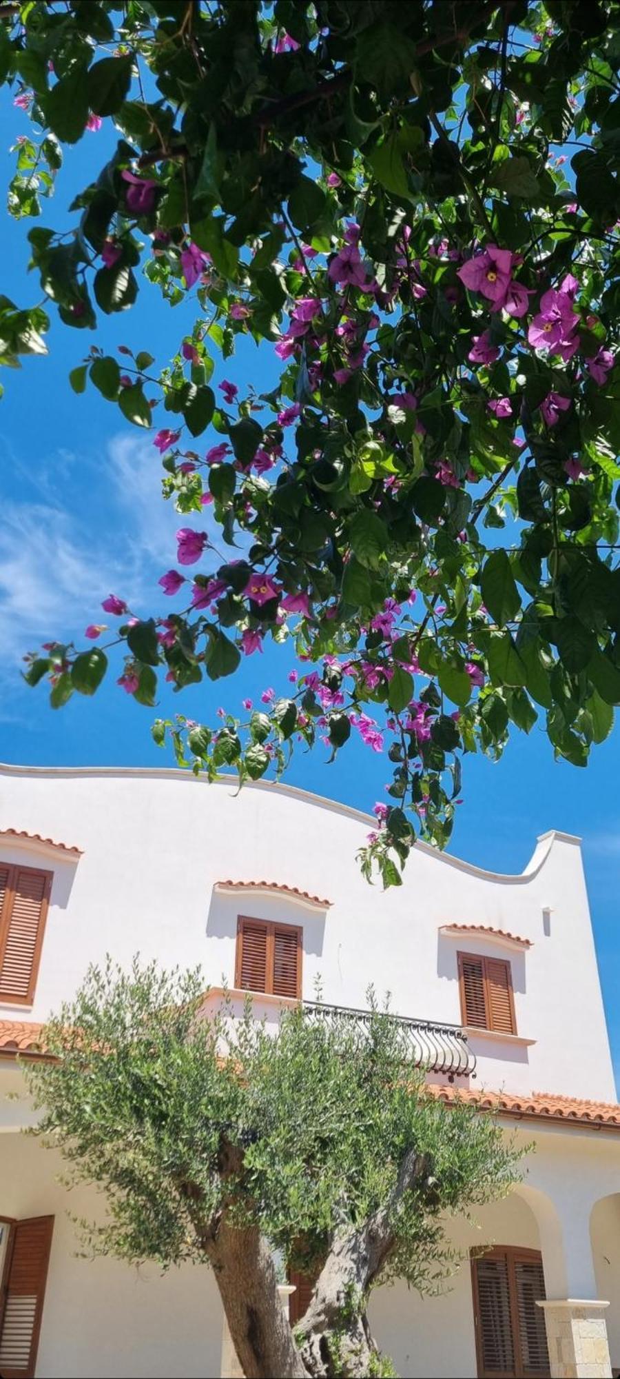 Villa Guajira Bari Ngoại thất bức ảnh